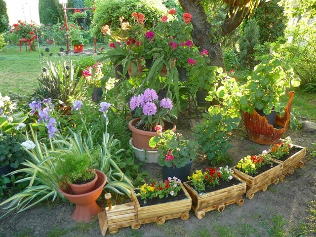 Pappné Farkucza Andrea kertje 03